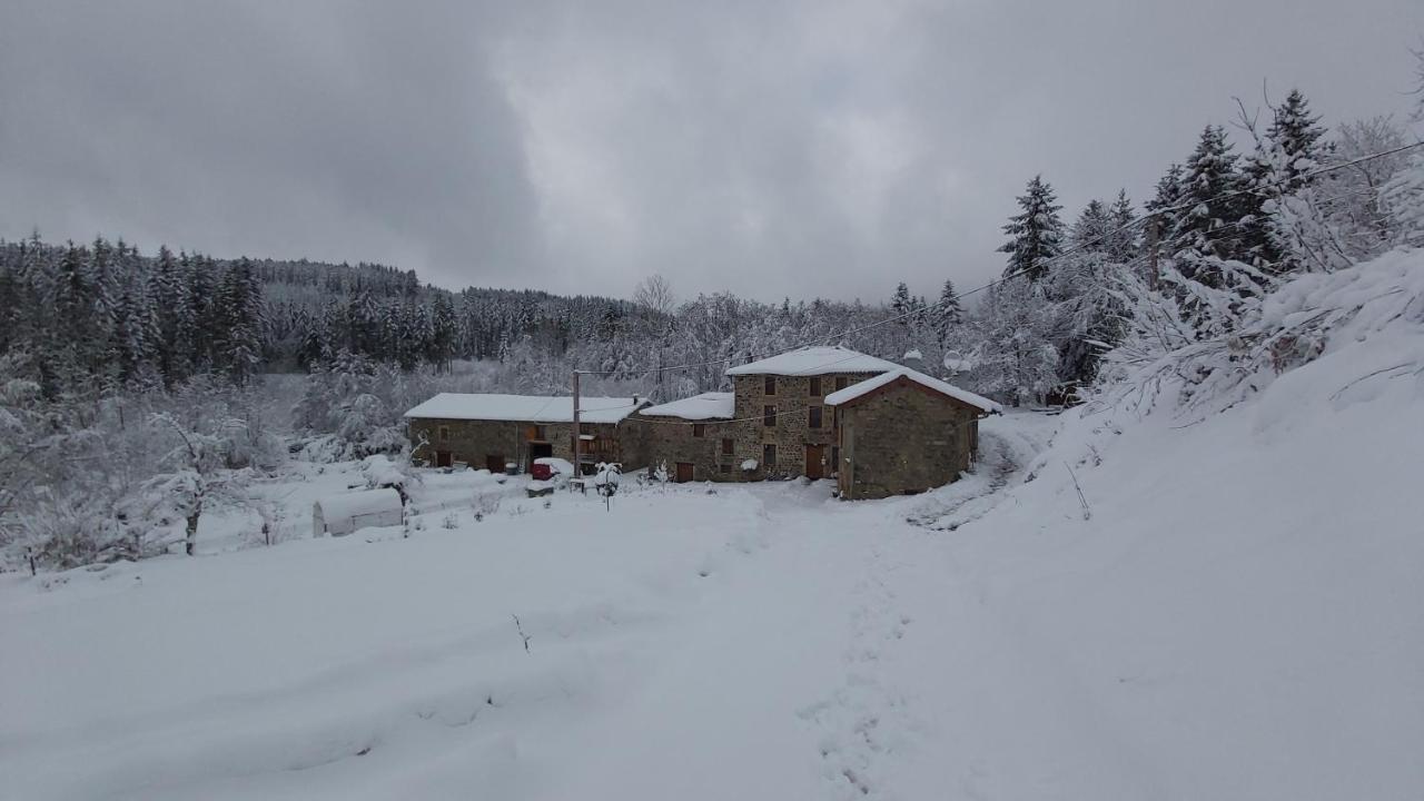 Gite Du Moulin Chenelette Экстерьер фото